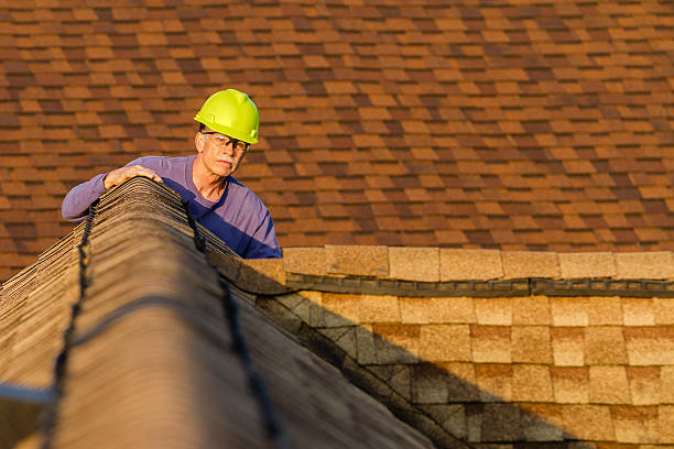 Best Roof Gutter Cleaning  in Jackson, KY