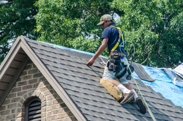 Best New Roof Installation  in Jackson, KY